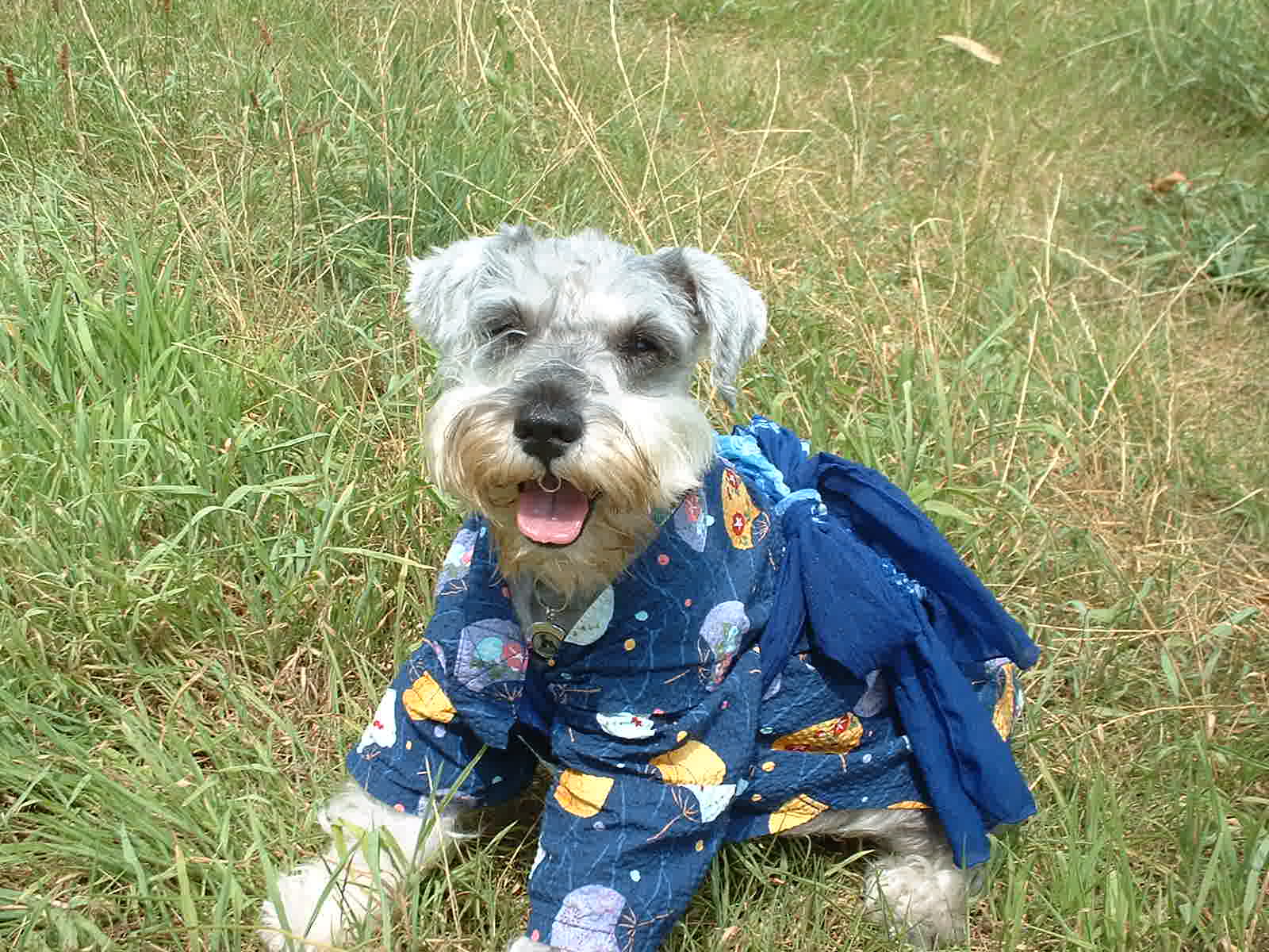 I'm �i���]�E�A���������������ł�