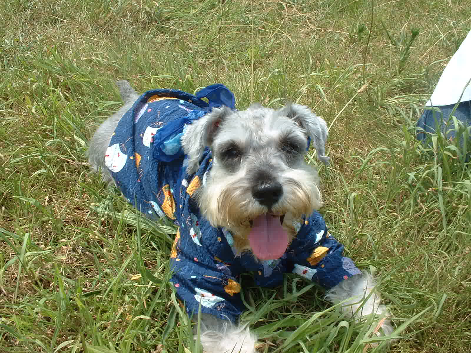 �Ă̏������ɎB�e���܂����B���߂܂Œ������āA�����E����ԁE�E