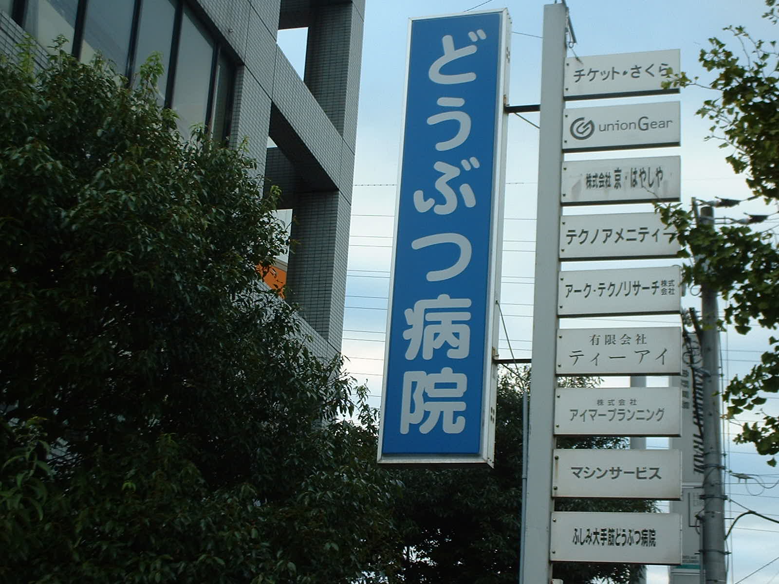 �O�g�̗щ������f�Î������������������ǁA�Ŕɂ͓��肫��܂����B����͂�����Ɩ����ł����E�E�E