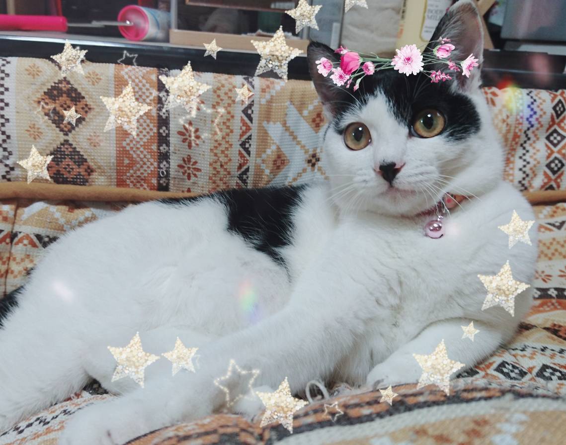 �A���������L���L��